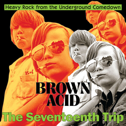 Brown Acid - The Seventeenth Trip / Various - Brown Acid - The Seventeenth Trip / Various - Vinyl Record