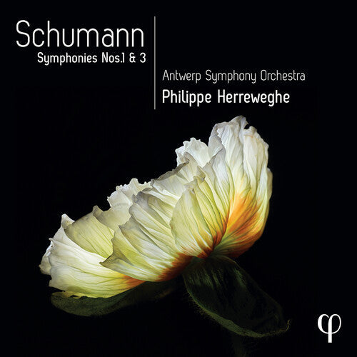 Schumann / Herreweghe / Antwerp Symphony Orch - Symphonies Nos. 1 & 3 - Music CD