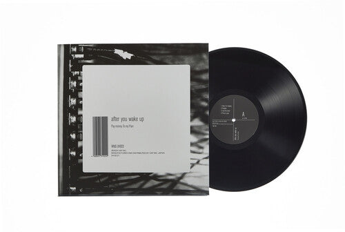 Pay Money To My Pain - After You Wake Up - Vinyl Record