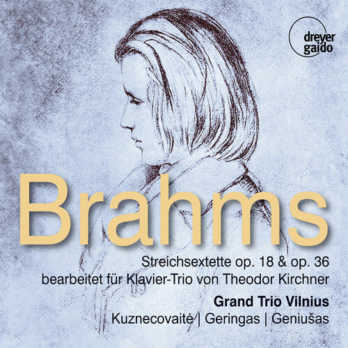 Brahms / Kirchner / Grand Trio Vilnius - String Sextets Opp. 18 & 36 Arr. For Piano By - Music CD