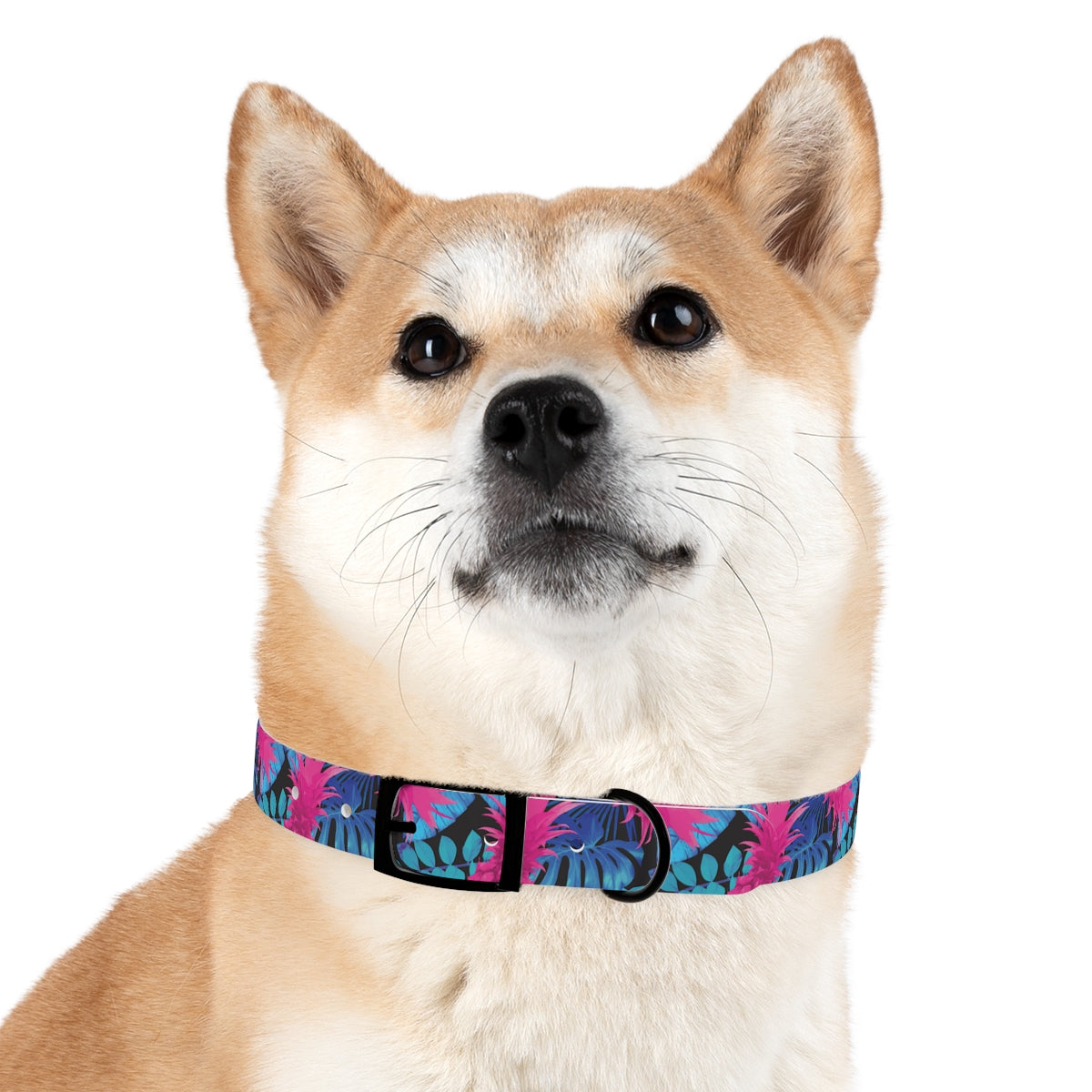 Rad Palm Pineapple Express Dog Collar