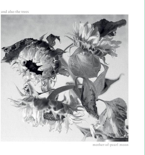 And Also The Trees - Mother-of-pearl Moon - Vinyl Record