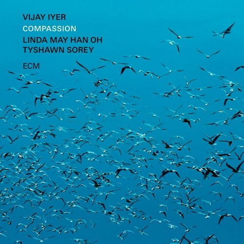 Lyer,vijay / Han Oh,linda May / Sorey,tyshawn - Compassion - Vinyl Record