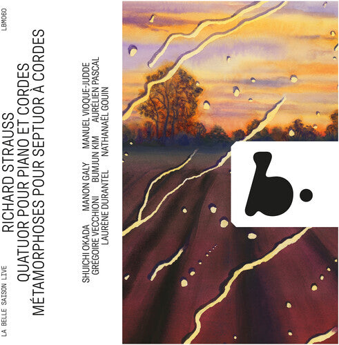 Strauss / Gouin / Durantel - Quatuor Pour Piano Et Cordes - Metamorphoses - Music CD