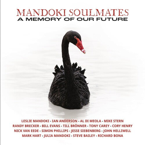 Mandoki Soulmates - Memory Of Our Future - Vinyl Record