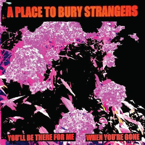 Place To Bury Strangers - You'll Be There For Me / When You're Gone - Vinyl Record