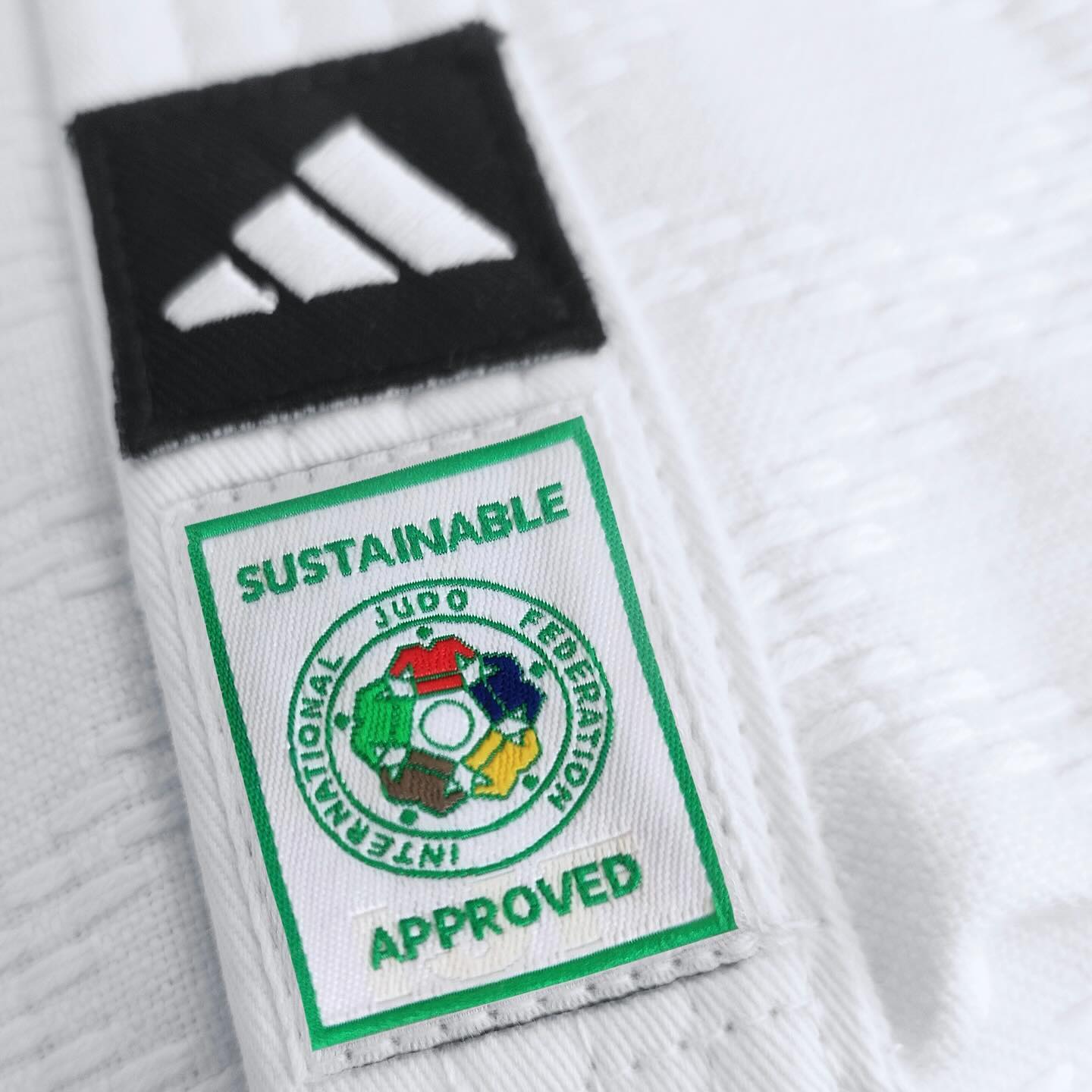 IJF Champion 3 Regular Cut with Stripes - Triathlete Store