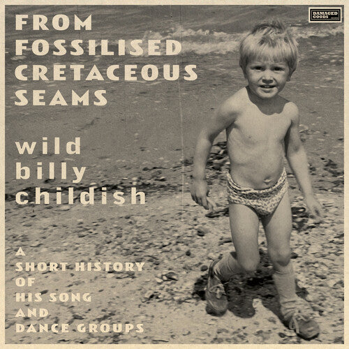 Childish,billy - From Fossilised Cretaceous Seams: A Short History - Vinyl Record