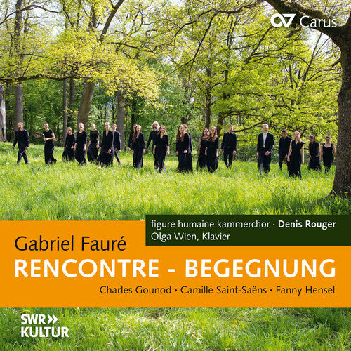 Faure / Goundoud / Hensel / Wien - Rencontre Begegnung - Music CD