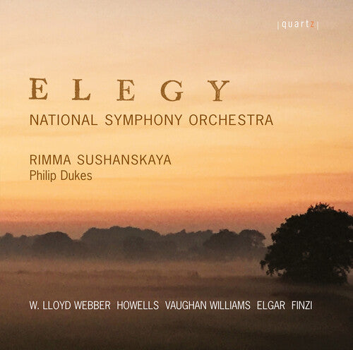 Elgar / Howells / National Symphony Orchestra - Elegy - Music CD