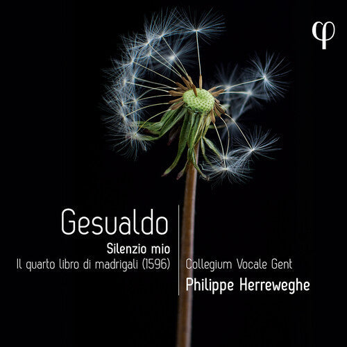 Gesualdo / Herreweghe / Nordberg - Silenzio Mio - Il Quarto Libro Di Madrigali - Music CD
