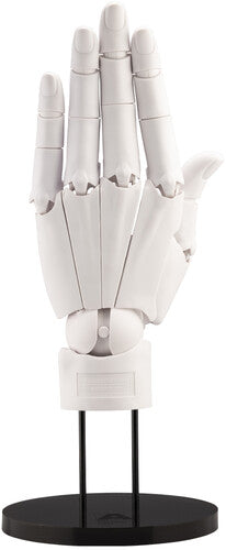 Artist Support Item Hand Model/l (white) - Artist Support Item Hand Model/l (white) - Collectibles