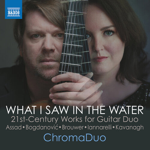 Bogdanovic / Kavanagh / Chromaduo - What I Saw In The Water - Music CD