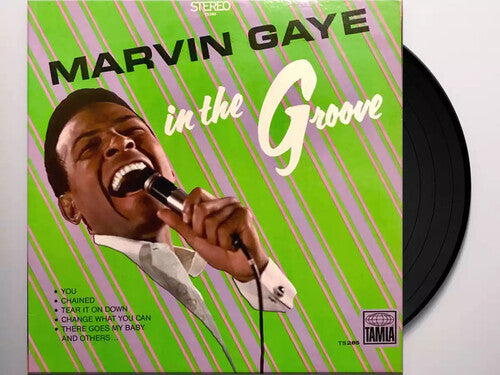 Gaye,marvin - In The Groove - Vinyl Record