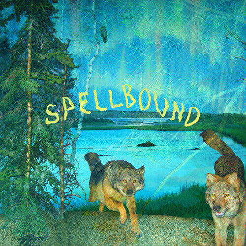 Boyscott - Spellbound - Vinyl Record
