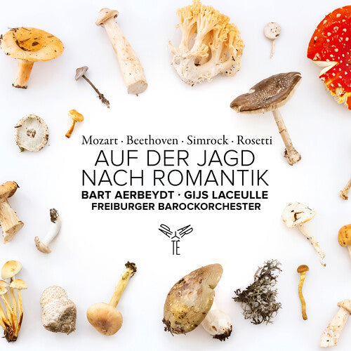 Freiburger Barockorchester - Auf Der Jagd Nach Romantik - Music CD