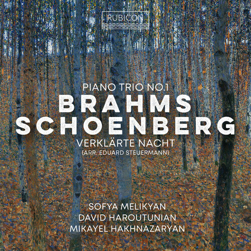 Melikyan,sofia - Brahms: Piano Trio No.1 Schoenberg: Verklarte - Music CD