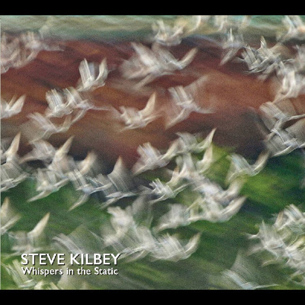 Steve Kilbey - Whispers In The Static Music CD