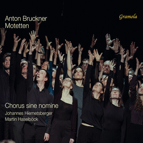 Bruckner / Haselbock / Chorus Sine Nomine - Motetten - Music CD