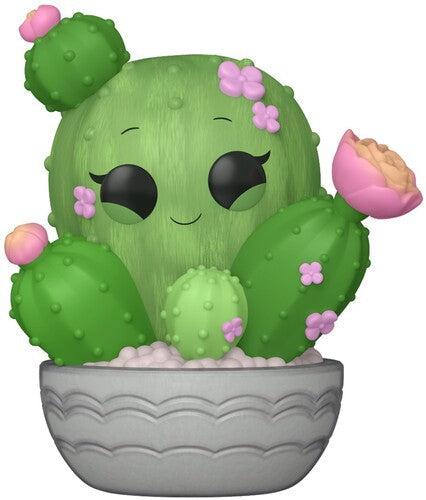 Pop Plants Flora - Pop Plants Flora Barrel Cactus - Collectibles
