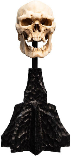 Open Edition Polystone - Lotr Trilogy - Skull Of A Mordor Orc Miniature - Collectibles