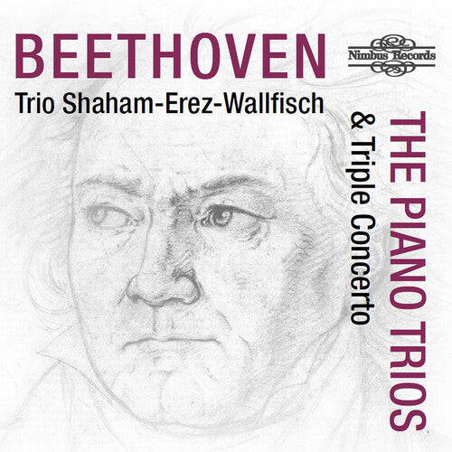 Beethoven,l.v. / Wallfisch / Erez - Piano Trios & Triple Concerto - Music CD