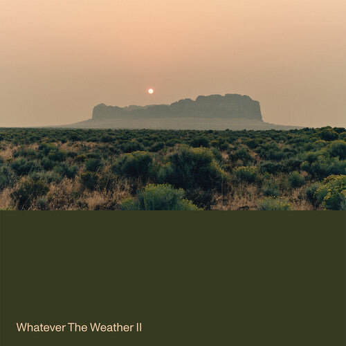 Whatever The Weather - Whatever The Weather Ii - Green - Vinyl Record