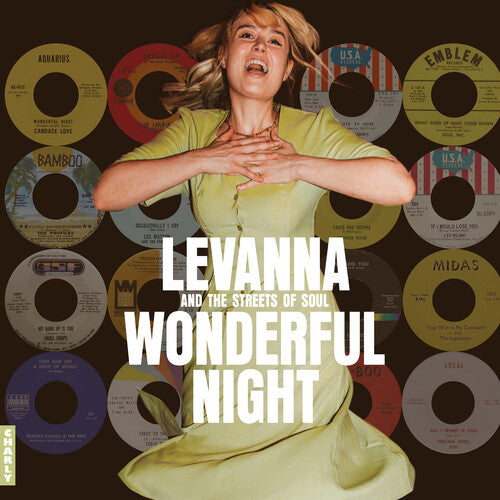 Wonderful Night Curated By Levanna / Various - Wonderful Night Curated By Levanna - Music CD