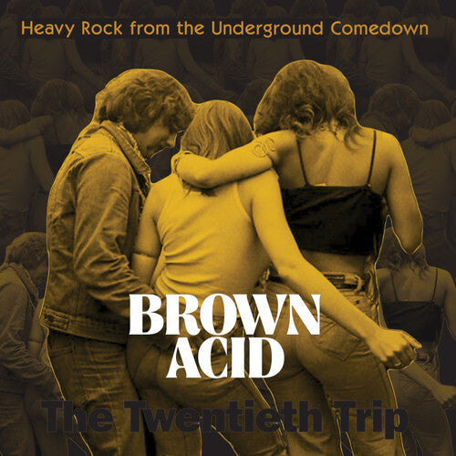 Brown Acid Twentieth Trip / Various - Brown Acid Twentieth Trip / Various - Vinyl Record