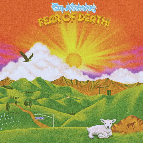 Heidecker,tim - Fear Of Death - Vinyl Record