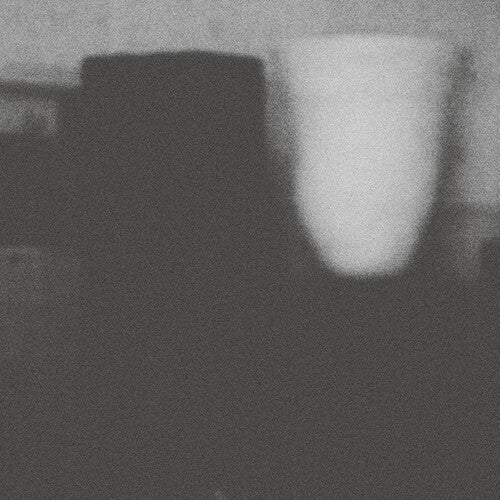 Merzbow - Prosperity Of Vice The Misfortune Of Virtue - Music CD