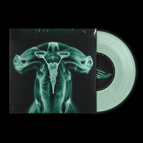 Eartheater & Shygirl - Shark Brain / Dolphin - Vinyl Record