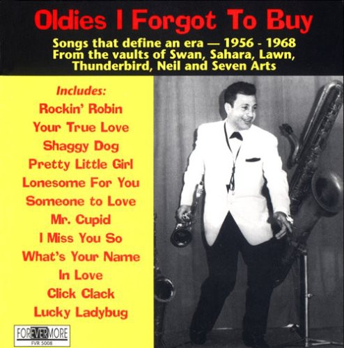 Oldies I Forgot To Buy / Various - Oldies I Forgot To Buy / Various - Music CD