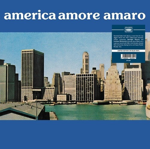 Du Cros,remigio / Simoncini,luciano - America Amore Amaro - Vinyl Record