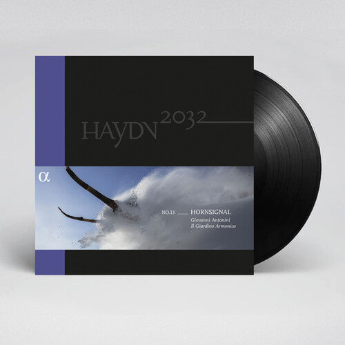 Il Giardino Armonico / Haydn - Haydn 2032 Vol. 13 - Horn Signal - Vinyl Record