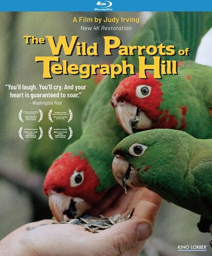 Wild Parrots Of Telegraph Hill - Wild Parrots Of Telegraph Hill - Blu-ray