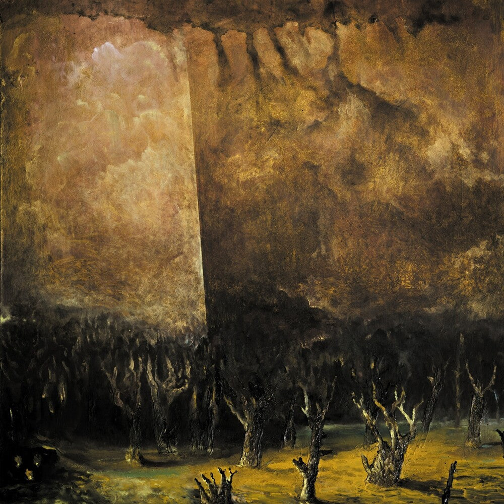 Tenebrae In Perpetuum - Vacuum Coeli (Uk) Music CD