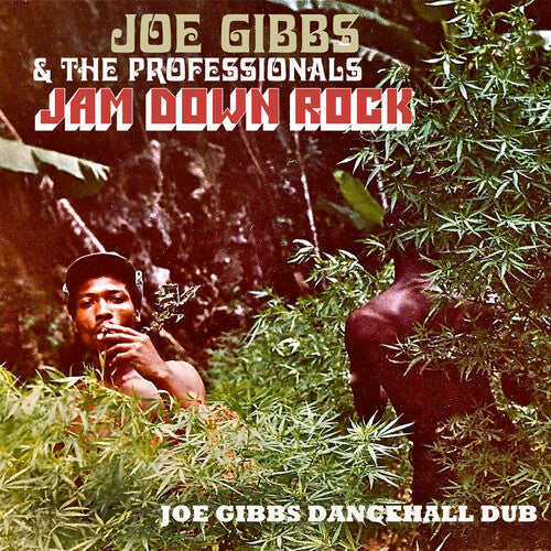 Gibbs,joe & The Professionals - Jam Down Rock: Joe Gibbs Dancehall Dub - Music CD