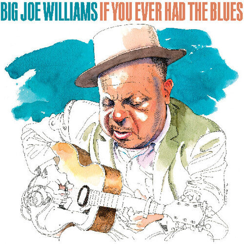 Williams,big Joe - If You Ever Had The Blues - Music CD