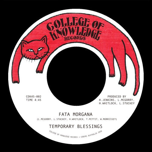 Temporary Blessings - Fata Morgana B/w Silence Leaves An Open Wound - Vinyl Record