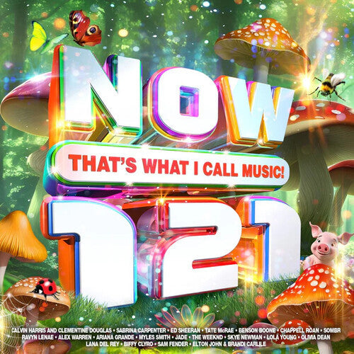 Now That's What I Call Music 121 / Various - Now That's What I Call Music 121 / Various - Music CD