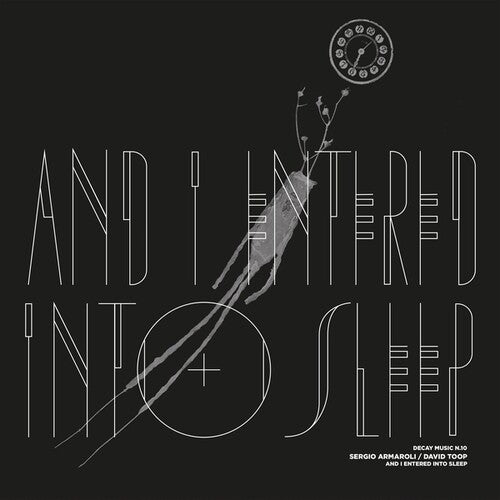 Armaroli,sergio / Toop,david - Decay Music N10: & I Entered Into Sleep - Vinyl Record