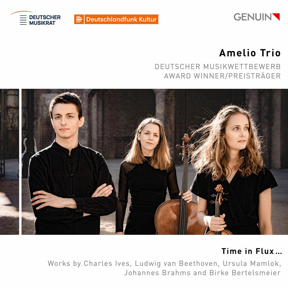 Amelio Trio - Time In Flux Music CD
