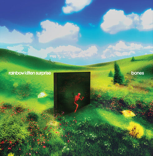 Rainbow Kitten Surprise - Bones - Music CD