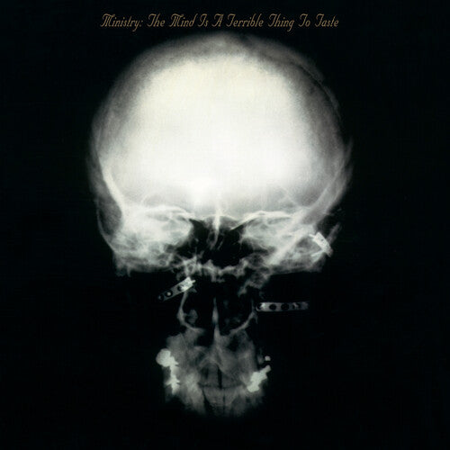 Ministry - Mind Is A Terrible Thing To Taste - Vinyl Record