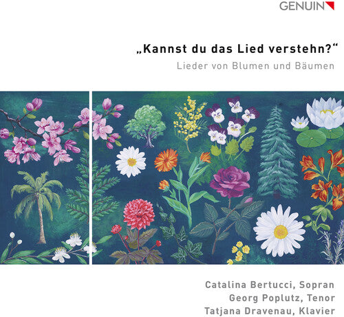 Bertucci,catalina - Kannst Du Das Lied Verstehn? - Music CD