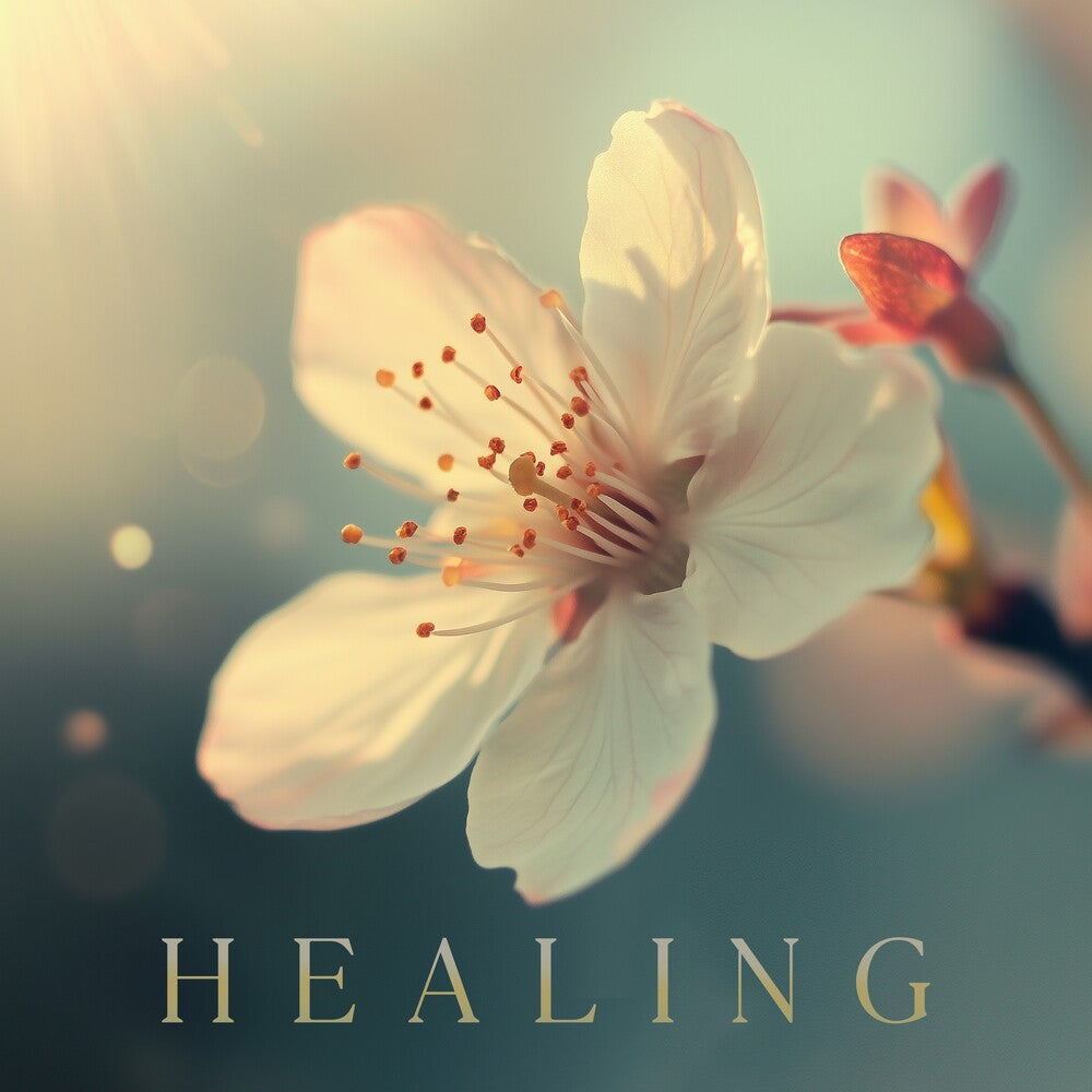 Healing / Various - Healing / Various Music CD