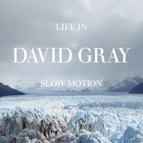 Gray,david - Life In Slow Motion (20th Anniversary Edition) - Vinyl Record