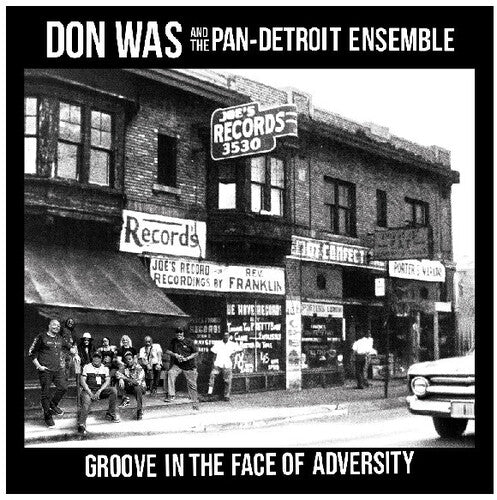 Was,don - Groove In The Face Of Adversity - Music CD