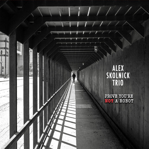 Skolnick,alex Trio - Prove You're Not A Robot - Music CD
